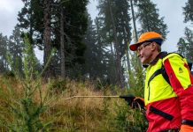 Trico verdirbt dem Rehwild den Appetit auf Tannenspitzen