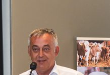 EZG will stärker am Markt auftreten