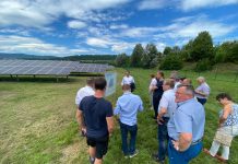 Photovoltaik: Bauernbund fordert den Netzausbau
