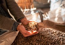 Pellets, Scheitholz & Co. gefragt wie nie Holzpellets