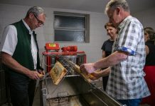 Landwirte und Imker sitzen im selben Boot