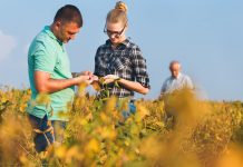 Konsumenten Einblicke in die Landwirtschaft von heute bieten
