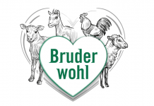 Hofer nimmt umstrittenen “Bruderwohl”-Spot aus Werbung