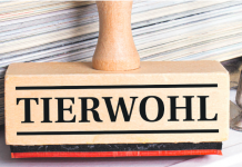 Zähes Ringen um Tierwohl-Paket vorüber