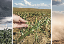 „Der Klimawandel ist keine ferne Zukunft mehr, er findet bereits statt“