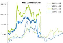 Terminmarkt International August ’22 – Dürresorgen bei Raps und Mais, Weizen stabilisiert