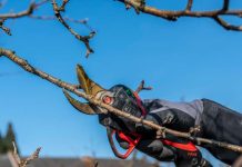 Kursprogramm 2023/24 der HBLA Klosterneuburg