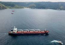 Futtermittel statt Brot für die Welt Getreidefrachter "Razoni"