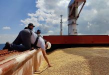 Russland steigt wieder in „Grain-Deal“ ein Kontrolle in Istanbul