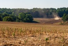 Anhaltende Dürre lässt Europas Landwirte bangen DürreEuropa
