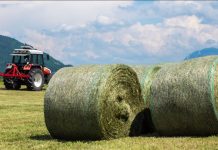 Heu, Stroh, Mais und Co. – ein besonderer Markt Heuballen