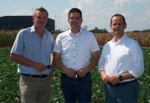 Die Zuckerrübe hat kräftigen Rückenwind Agrana-Feldtag