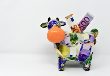 Klima- und Anti-Teuerungsbonus werden früher ausbezahlt