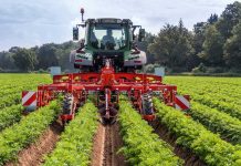 Mechanische Unkrautbekämpfung nun auch in Kartoffeln und Möhren
