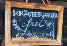 Auf der Alm wachsen die besten Kräuter