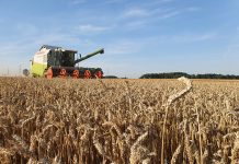 Ernte 2022: „Guter Durchschnitt“ sorgt in unsicheren Zeiten für Zufriedenheit