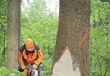 YouTube-Videos für Forstprofis