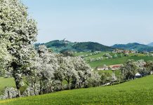 Streuobstbau soll Unesco-Kulturerbe werden