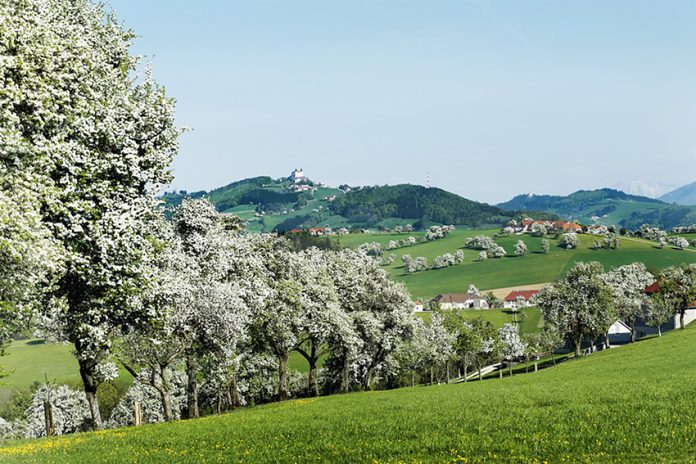 Streuobstwiese im Mostviertel