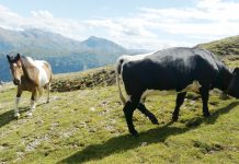 Wettermäßig ist es ziemlich gut gelaufen