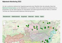 Körnermais bisher nur wenig mit Mykotoxinen belastet