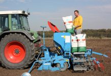 Winterweizen ’22: Sorten mit innovativer Genetik