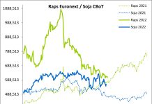 Terminmarkt International September ’22 – Rapspreis unter Druck, Weizen auf Seitwärtspfad, Mais gedeckelt