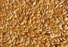 Wer Winterdurum riskiert,kann gewinnen