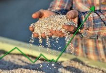 CO2 bekommt EU-weit einen Preis Dünger