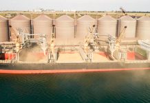 Getreidehandel am Schwarzen Meer – es bleibt turbulent Getreidefrachter Odessa