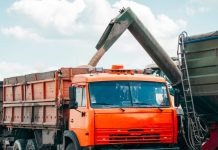 Putin baut Getreideexport aus und bestätigt Diebstähle Getreide wird auf LKW verladen