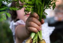 Wissen über heimische Landwirtschaft fördern