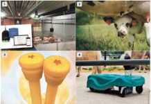 Tierhaltung: Die besten Innovationen stehen fest