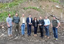 BM Totschnig: Mit vereinten Kräften gegen den Borkenkäfer