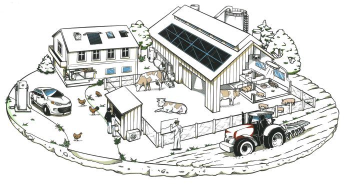 Illustration Bauernhof