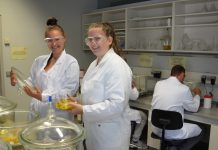 Insekten als Nutztiere haben Zukunftspotenzial