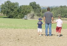 Landeskulturfonds schiebt Spekulationen Riegel vor
