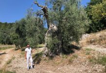 Was lange währt, schmeckt richtig gut