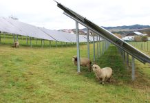 Bauern als Energiewirte: Wenn man sie denn auch lässt