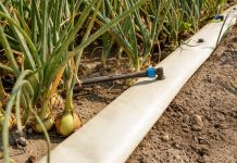 Tröpfchen statt Wasserfall