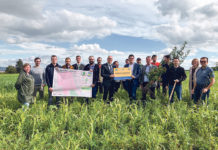 Flurbereinigung und Mehrnutzenhecken