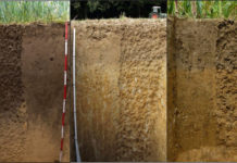 “Zeig mir dein Profil, dann sag ich dir den Typ”