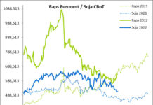Terminmarkt International Oktober ’22 – Rapsmarkt nervös, Weizenmarkt verunsichert, Mais eher knapp
