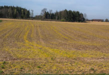 Glyphosat-Verlängerung: Warten auf Entscheidung