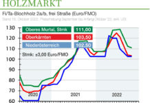 Holzmarkt Oktober ’22: Energieholz stützt den Markt