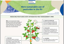 Halbierter Pflanzenschutz bedeutet verdoppelte Probleme
