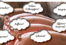 Schweinehaltung: Wir standen vor dem Abgrund, jetzt sind wir einen Schritt weiter