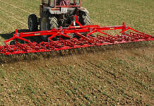 Striegeln im Herbst erfordert Gefühl