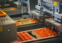 Genug Ei für alle – was dem Bauern bleibt Eiabpackstelle