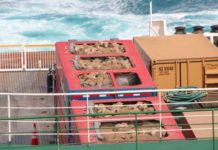 Neuseeland verbietet Viehexport per Schiff Tierexport per Schiff